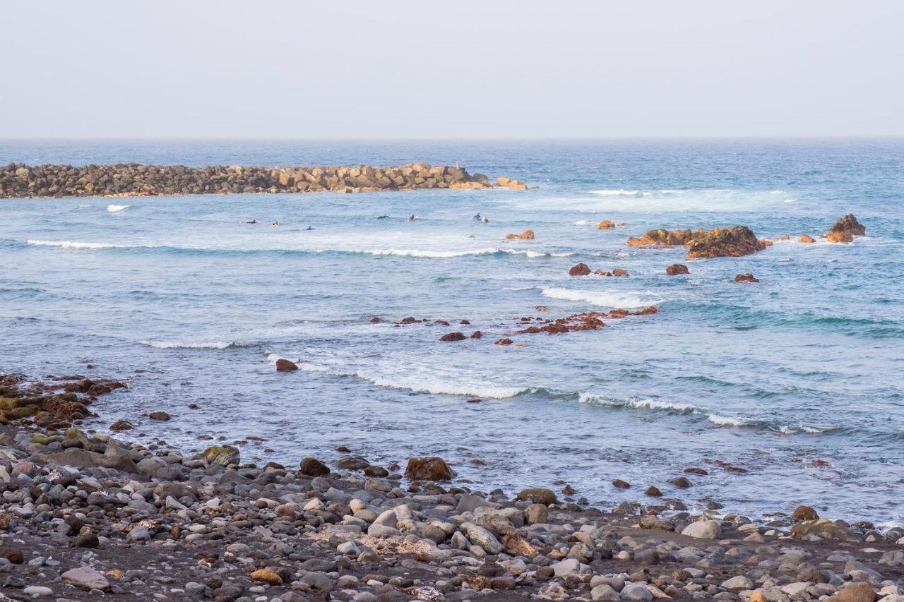 Live Puerto De La Cruz Las Palmeras Esterno foto